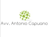 Avv. Antonio Capuano